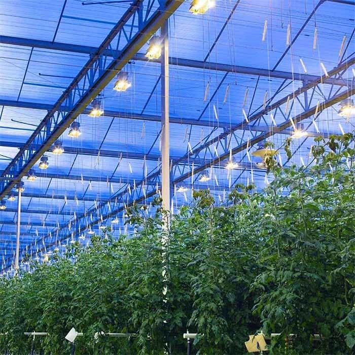 Integrated PV Panel Mounting Systems Greenhouses Thin Film Module Support Structure