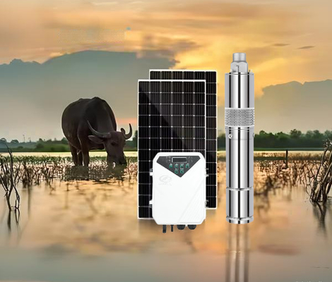 Ein guter Preis. Optimale Eingangsspannung 60V-90V Gleichspannung Solarwasserpumpe mit MPPT-Steuerungstyp und maximalem Durchfluss 3,8m3/h Online