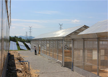 Ein guter Preis. Dach angebrachte Gewächshaus-Sonnensystem-photo-voltaische Kraftwerk-landwirtschaftliche Kulturen Online