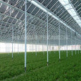 Ein guter Preis. Handelsgewächshaus-Sonnensystem-Electric Power galvanisierte Oberflächenbehandlung Online