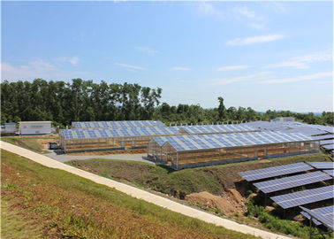 Ein guter Preis. Einzelnes Spannen-Gewächshaus-Sonnensystem-Landwirtschafts-Betriebswarmes Haus-metallische Struktur Online