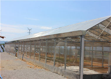Ein guter Preis. Grundsonnensystem für die Landwirtschaft, Betriebsbauernhof Solar-PV-Montage-Systeme Online