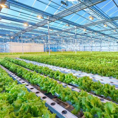 Ein guter Preis. Intelligenter justierbarer Höhen-Gewächshaus-leichter Sonnensystem-Rahmen-photo-voltaische landwirtschaftliche Einbaustruktur Online