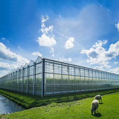 Ein guter Preis. Multi Gewächshaus-Sonnensystem des Zweck-500KW BIPV Online