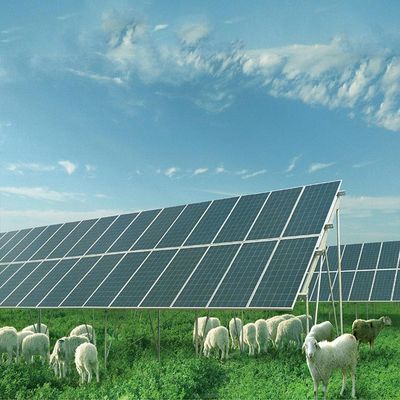 Ein guter Preis. Galvanisierte Sonnenkollektor-Boden-Montage-System-Struktur des unedlen Metalls Online