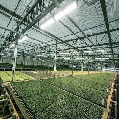 Ein guter Preis. Ein Rahmen-Bewässerungs-im Freien landwirtschaftliches angetriebenes Solargewächshaus Online