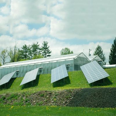 Ein guter Preis. Metall gestaltet Landschafts-oder Porträt-Solarenergie-System für Gewächshaus Online