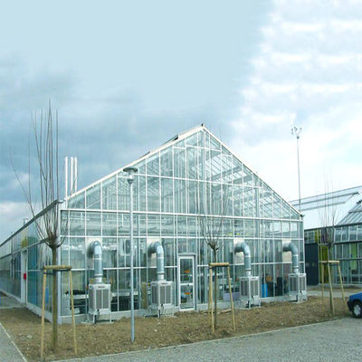 Ein guter Preis. Galvanisiertes Stahlrahmenkonstruktions-Gewächshaus-Sonnensystem für Bauernhof Online