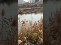 3 Zoll Gleichstrom-Tiefenbrunnen-Wasserpumpe mit MPPT-Steuerung